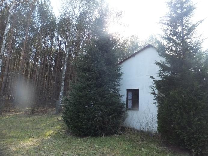 ROKITNO~ DZIAŁKA BUDOWLANO-REKREACYJNA — zdjęcie 4