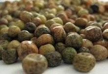 Sell flax, vetch, field peas, millet, soybeans, so — zdjęcie 5