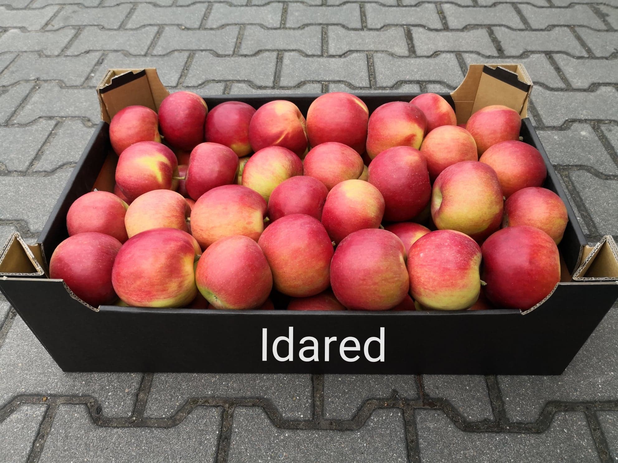 Sprzedam jabłka: idared, szampion, gala schniga — zdjęcie 3