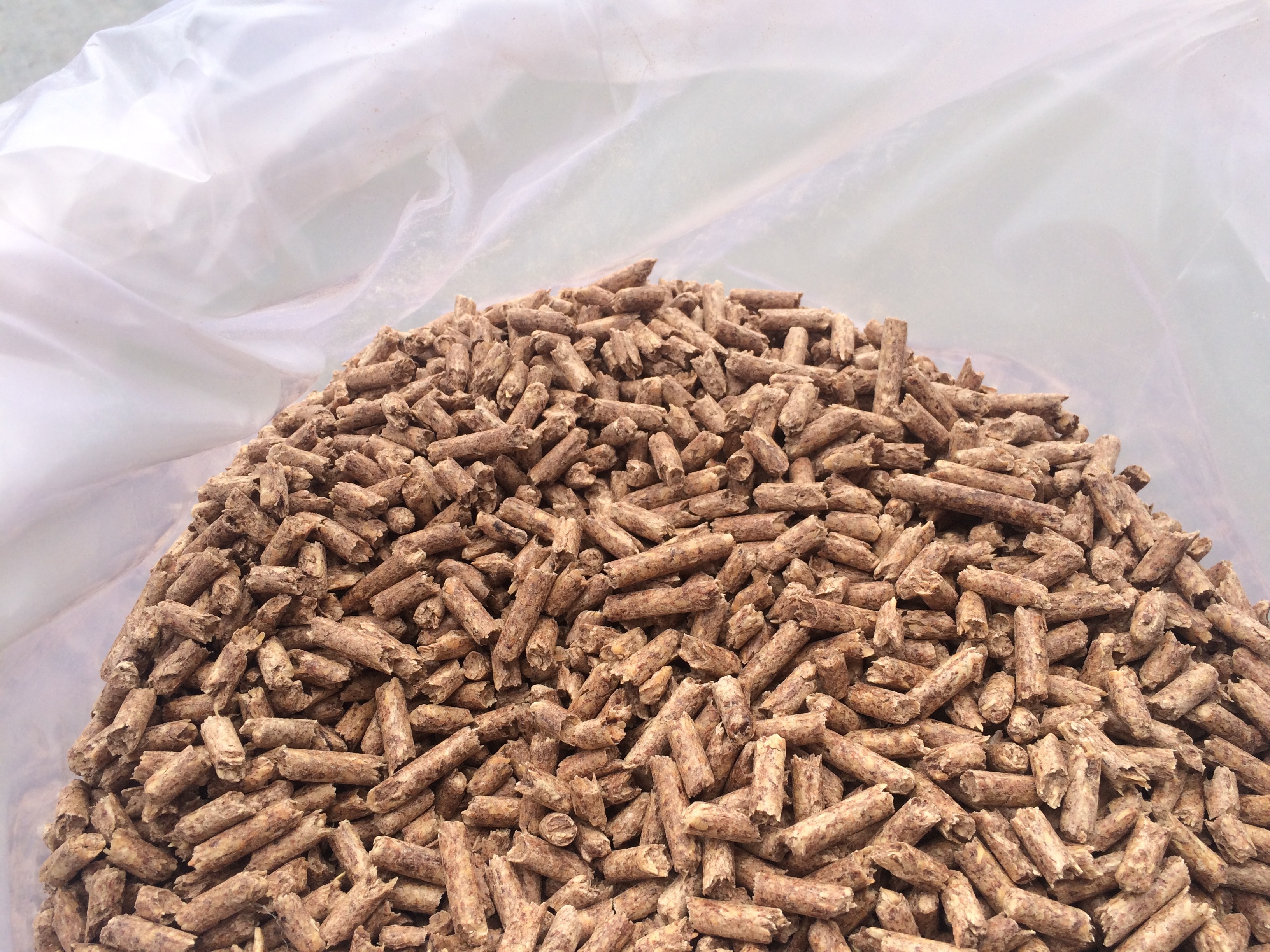 pellet sosna A1 6mm