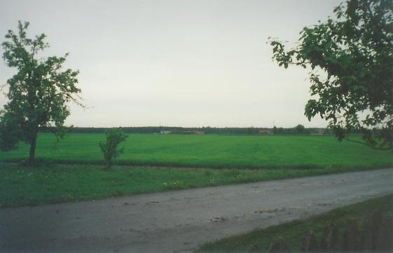Gospodarstwo rolne 13,67 ha woj. wielkopolskie — zdjęcie 4