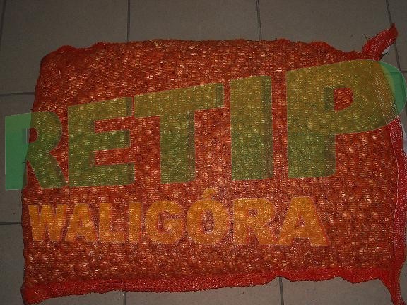 Cebula Dymka Red Karmen,Sturon,Cupido,Setton RETIP24.PL — zdjęcie 1