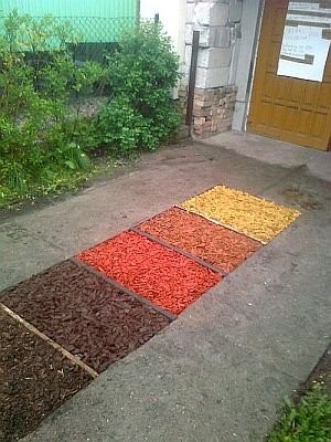 Kora kolorowa, zrębki ozdobne kolorowe — zdjęcie 1