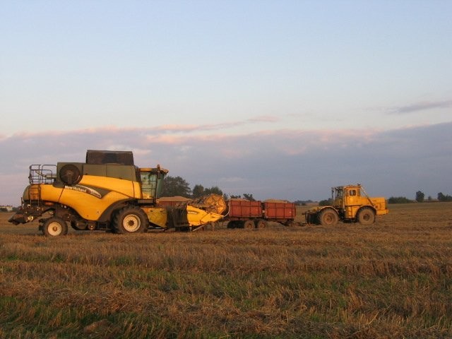 usługi agrotechniczne   żniwa 2013 — zdjęcie 3