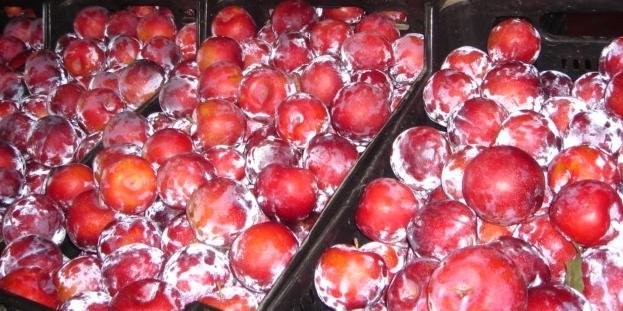 Warzywa i owoce prosto z Hiszpanii — zdjęcie 3