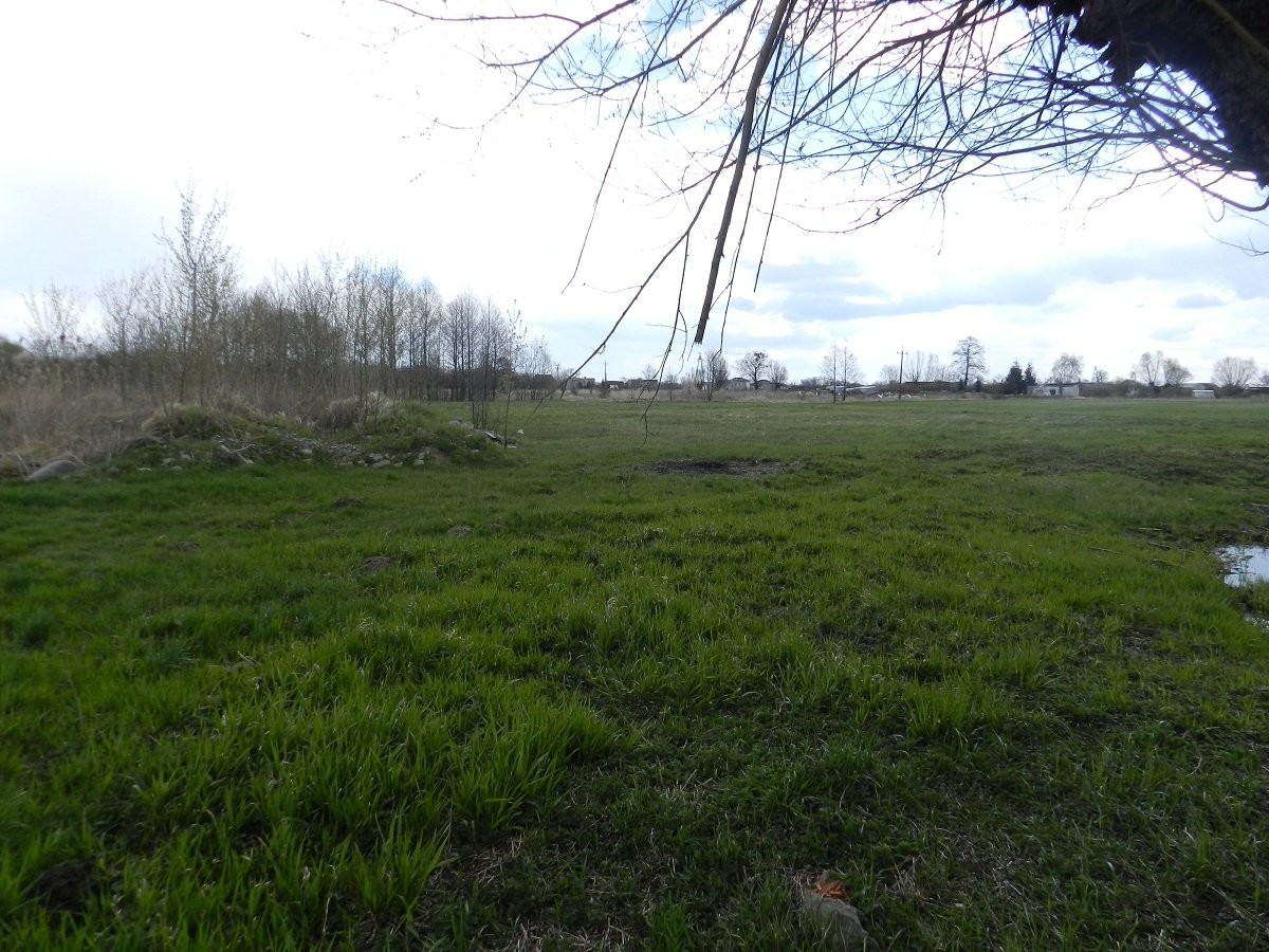 Działka siedliskowa, Wieprzyce — zdjęcie 4