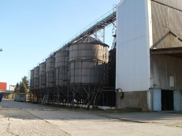Zbiorniki zbożowe silosy zbożowe 140 t PETKUS — zdjęcie 4