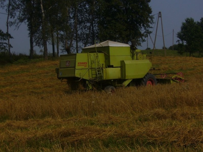 Class Dominator 80 - kombajn zbożowy — zdjęcie 3