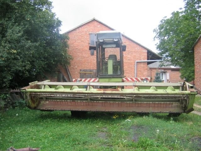 Pokosówka — zdjęcie 1