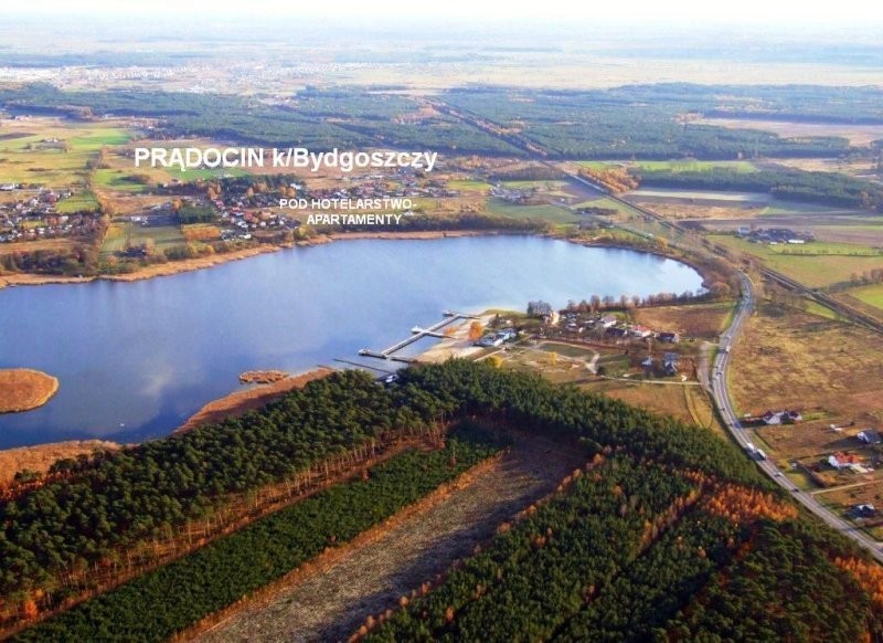 Sprzedam 4.5 ha pod inwestycję koło Bydgoszczy — zdjęcie 5