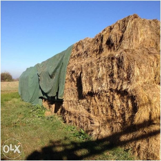 Siano kostka80X80X120 — zdjęcie 3