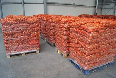 Cebula worek 15 kg