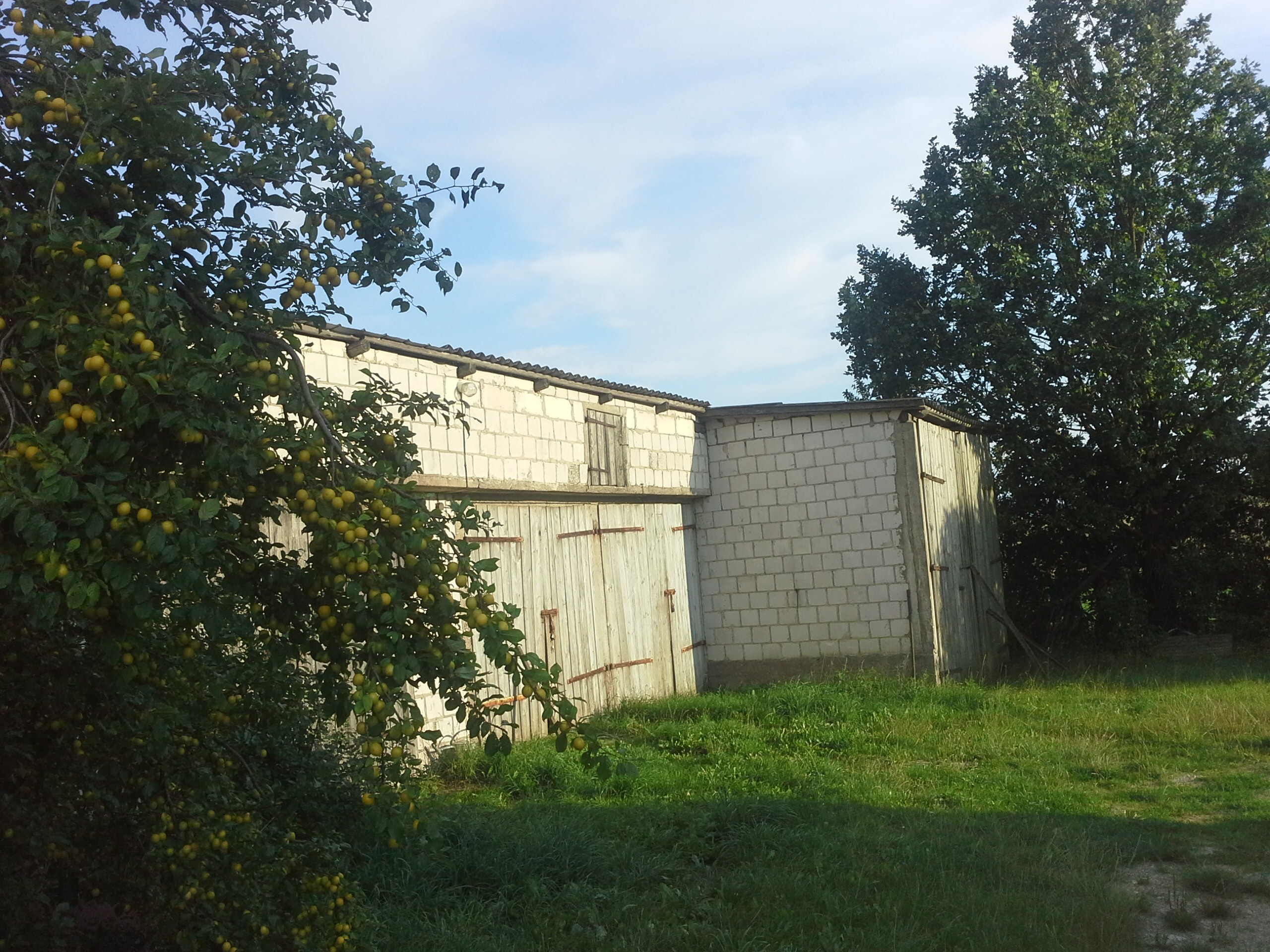 Gospodarstwo rolne na Suwalszczyźnie — zdjęcie 8