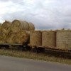 Sprzedam słomę!