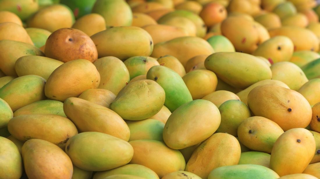 Wholesale Fresh Mango,Red star apples — zdjęcie 5