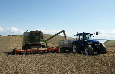 Kombajn zbożowy Claas Comandor 116 CS — zdjęcie 2