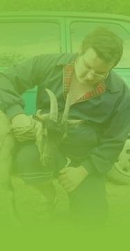 Kozła , capa na stanówke — zdjęcie 1