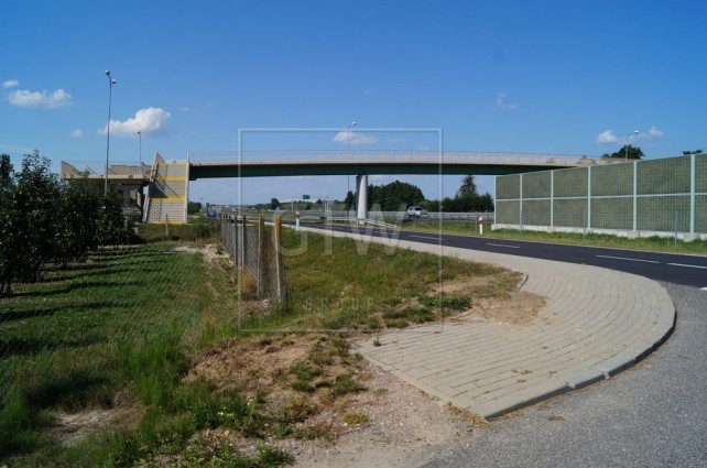 Sprzedam działkę rolno-budowlaną pod Firmę o pow 4 h szer-300m dł-250  — zdjęcie 3