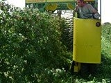 Kombajn samojezdny do zbioru malin i jeżyn — zdjęcie 2