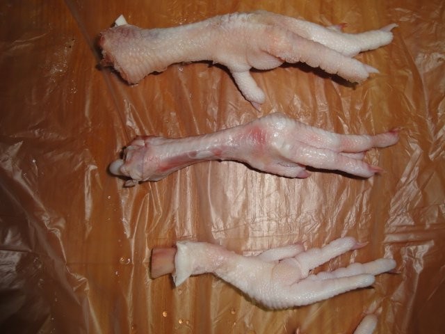Łapy łapki z kurczaka, kury KUPIE