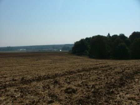 360 HEKTARÓW GRUNTÓW - PIŁA - WIELKOPOLSKA — zdjęcie 1