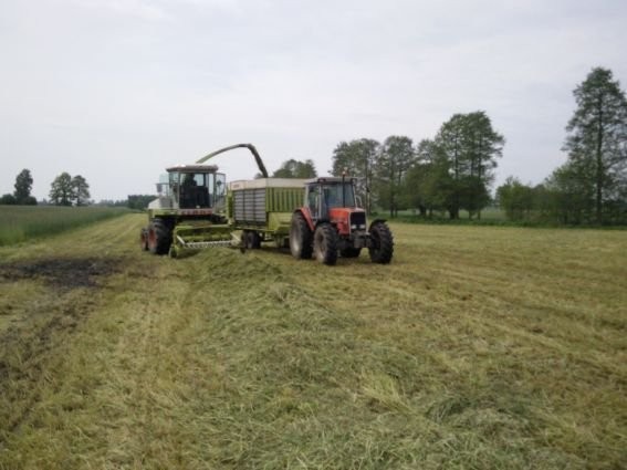 Claas Jaguar 690 — zdjęcie 1