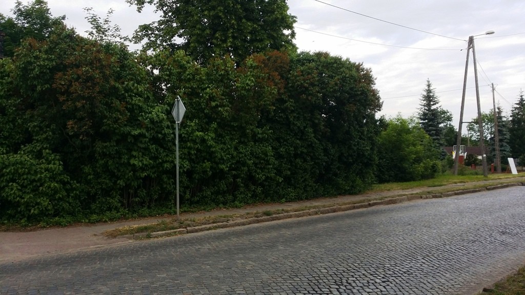 Działka ok. 28 ar w centrum, Stare Kurowo — zdjęcie 3