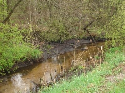 Sprzedam gospodarstwo rybackie 100ha, łódzkie — zdjęcie 6