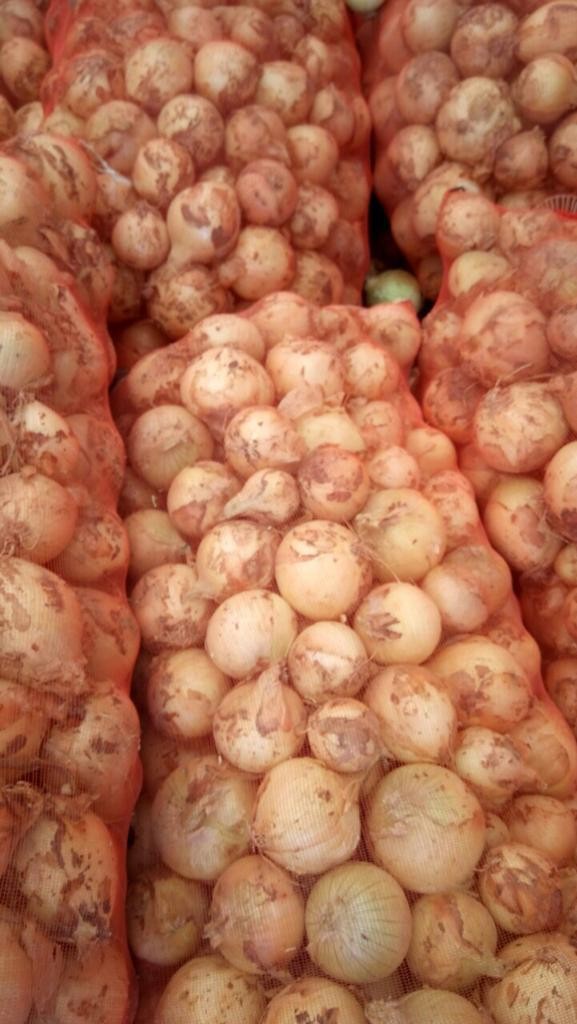 Import Cebula uzbekistanu — zdjęcie 3