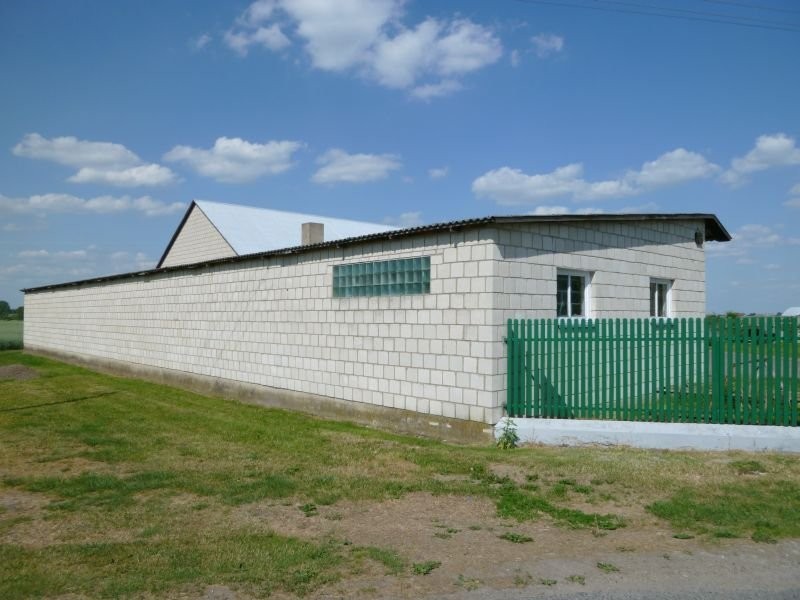 SPRZEDAM GOSP.ROLNE WRAZ Z BUDYNKAMI — zdjęcie 4