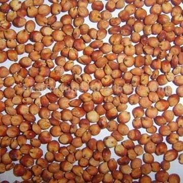 sprzedam sorgo