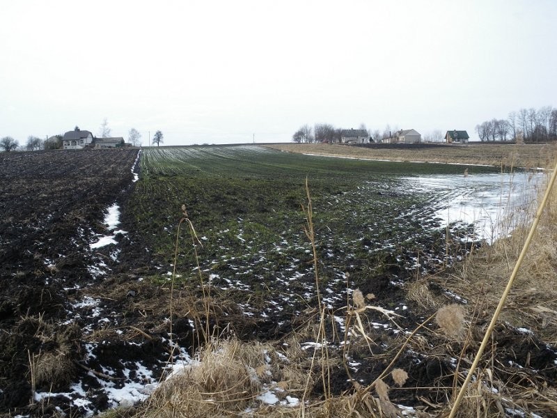 1,3ha kl. II - IIIa, cana za całość — zdjęcie 1