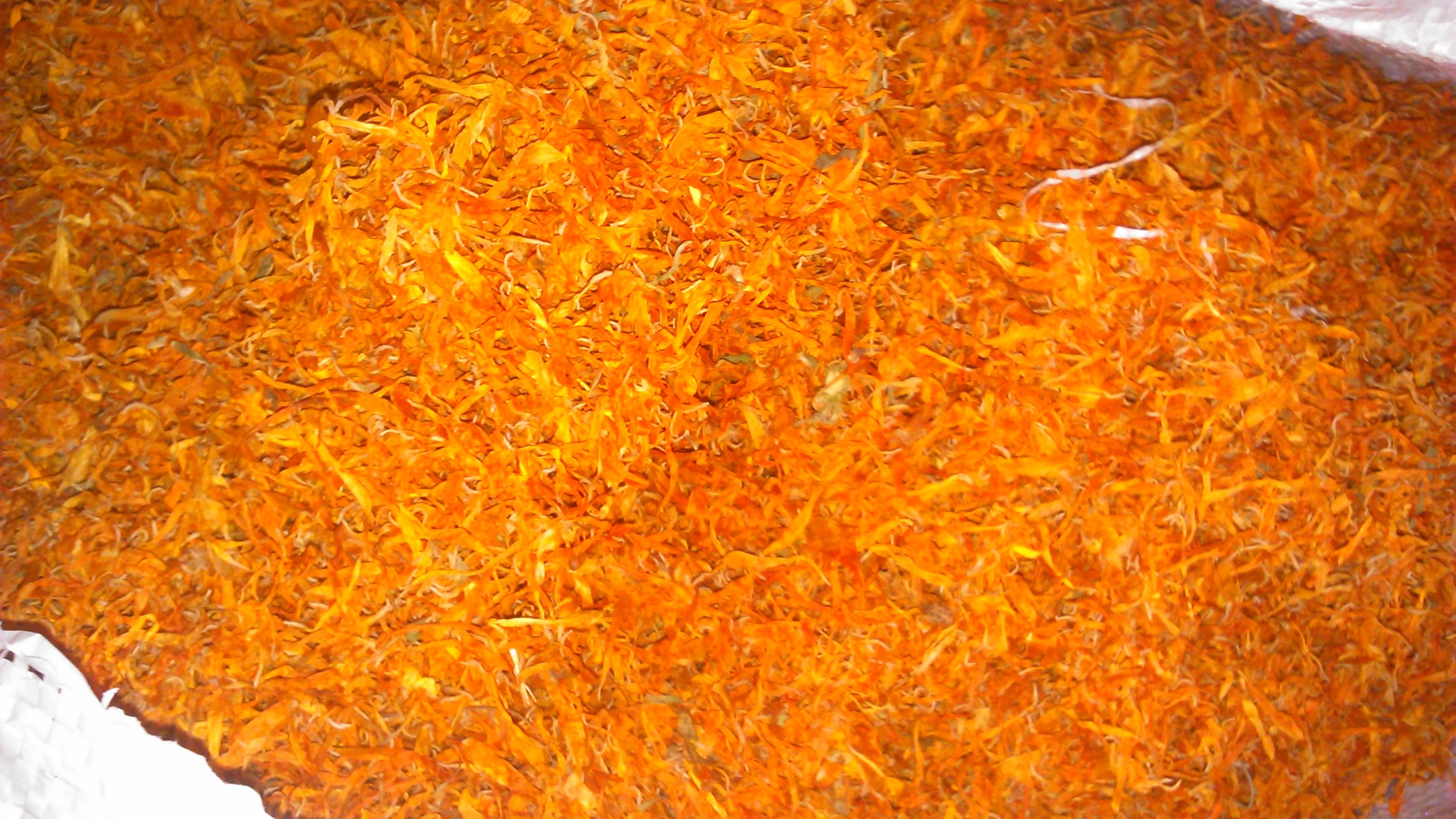 Kwiat nagietka Suszony 14,00 zł/kg  — zdjęcie 4