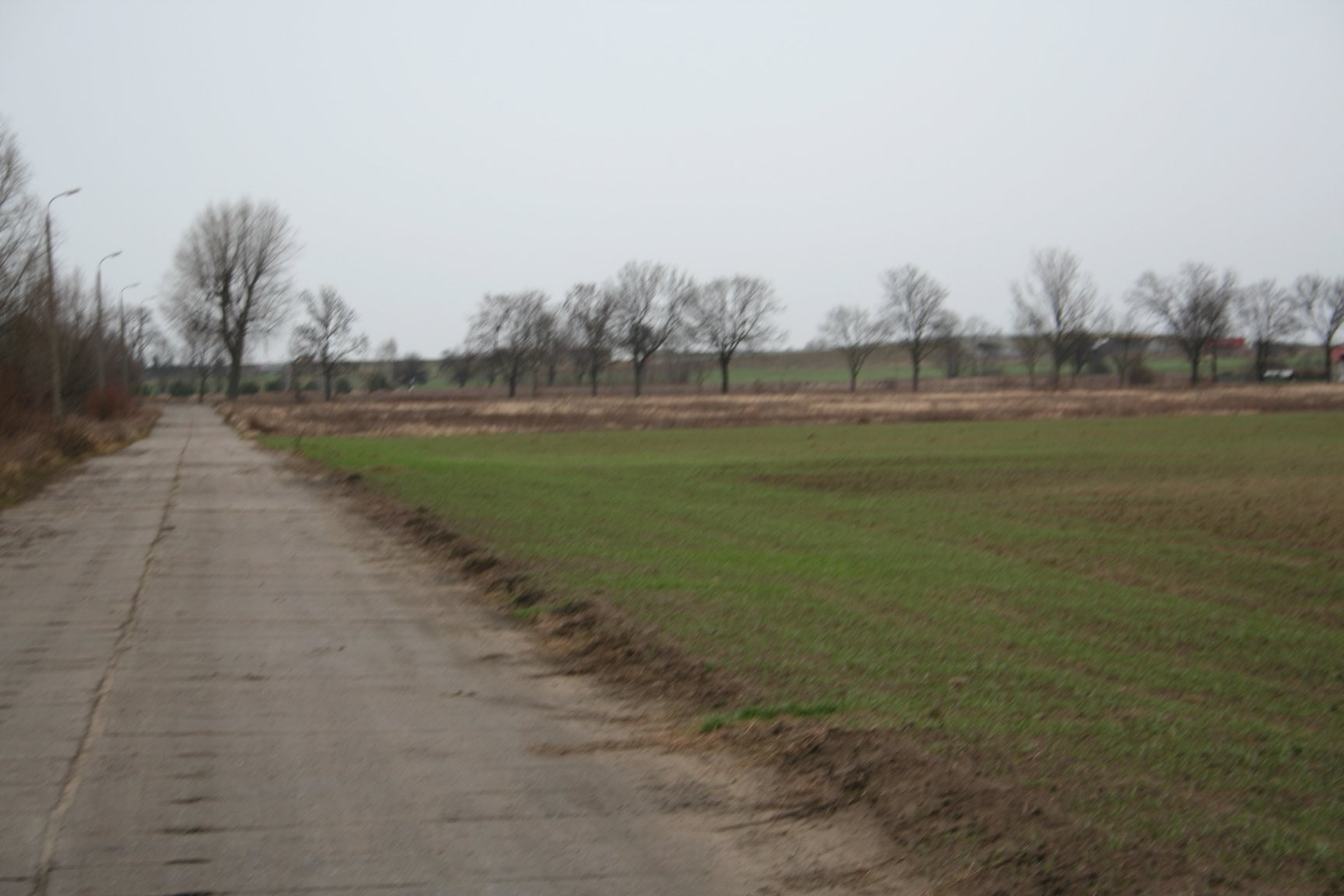 DZIAŁKA POD INWESTYCJE OBOK FAURECJI - 4 HA  — zdjęcie 3