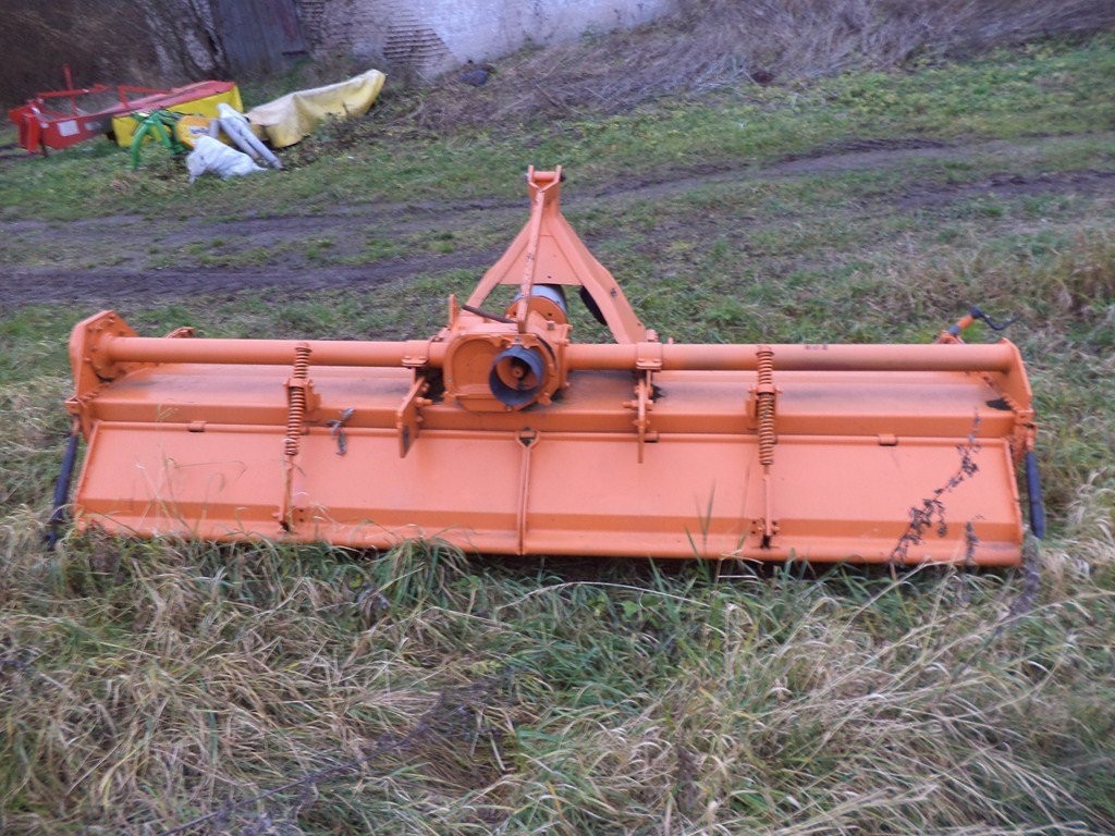 Maschio - 2000 — zdjęcie 4