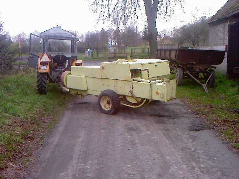 Sprzedam prase Z-224 — zdjęcie 1