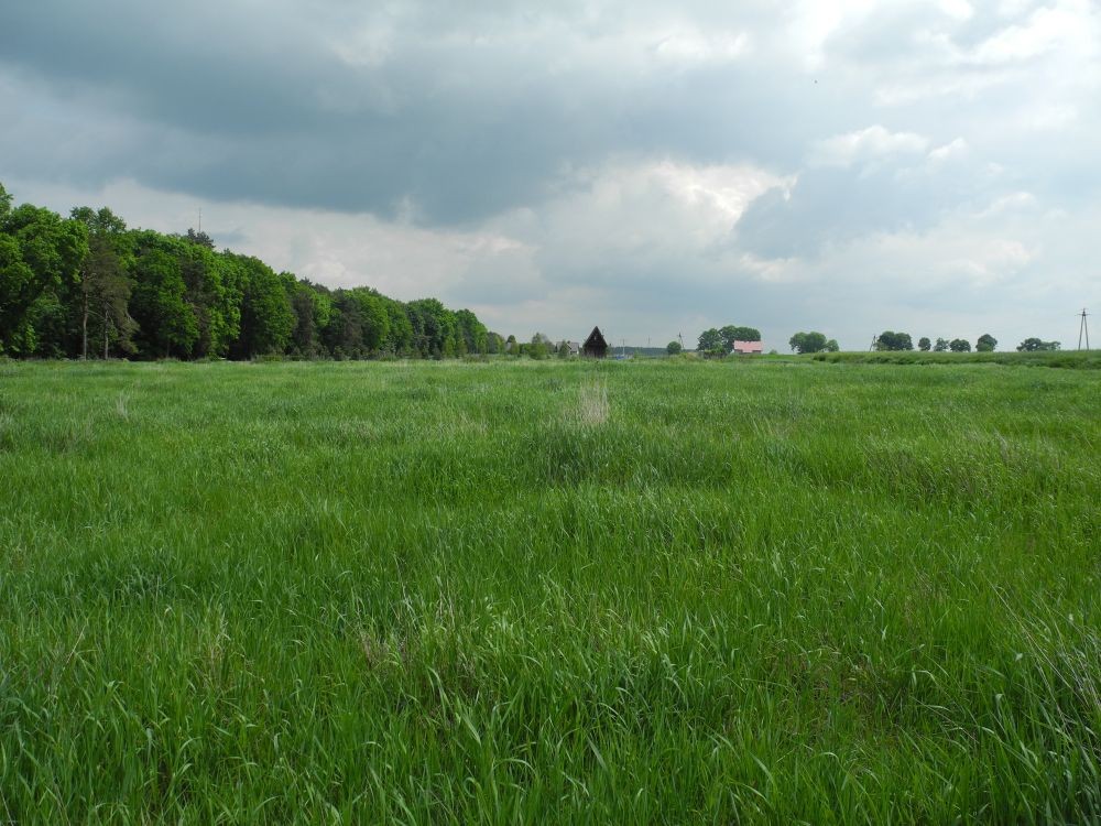 sprzedam działkę Piaski w trakcie przekształcania na budowlaną  — zdjęcie 3