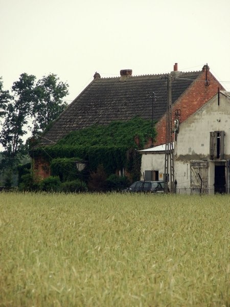 ferma drobiu  tanio — zdjęcie 3