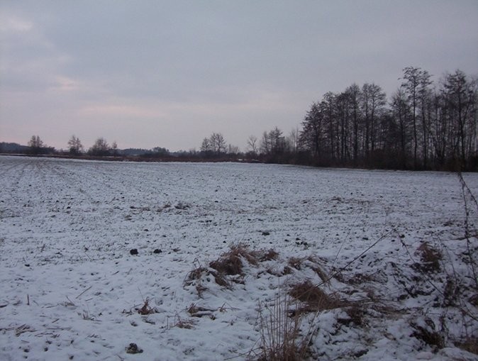 Gospodarstwo Rolne O Powierzchni 22 Ha — zdjęcie 2