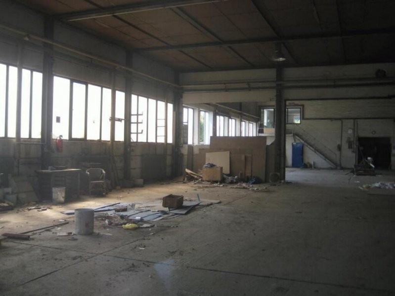 Hala Stalowa Produkcyjna, magazynowa 800 i 1250m? — zdjęcie 1