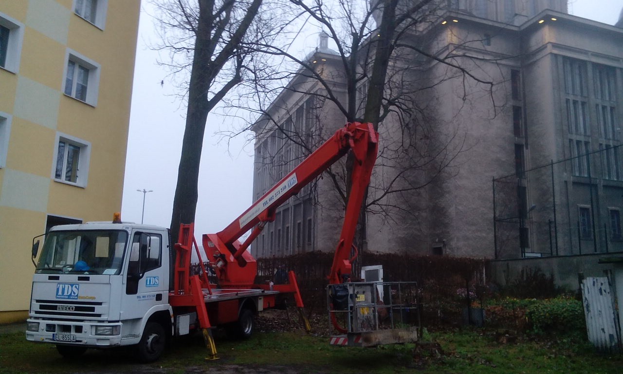 Profesjonalna wycinka drzew dużych - frezowanie korzenia F-Vat O.C.  1 — zdjęcie 1