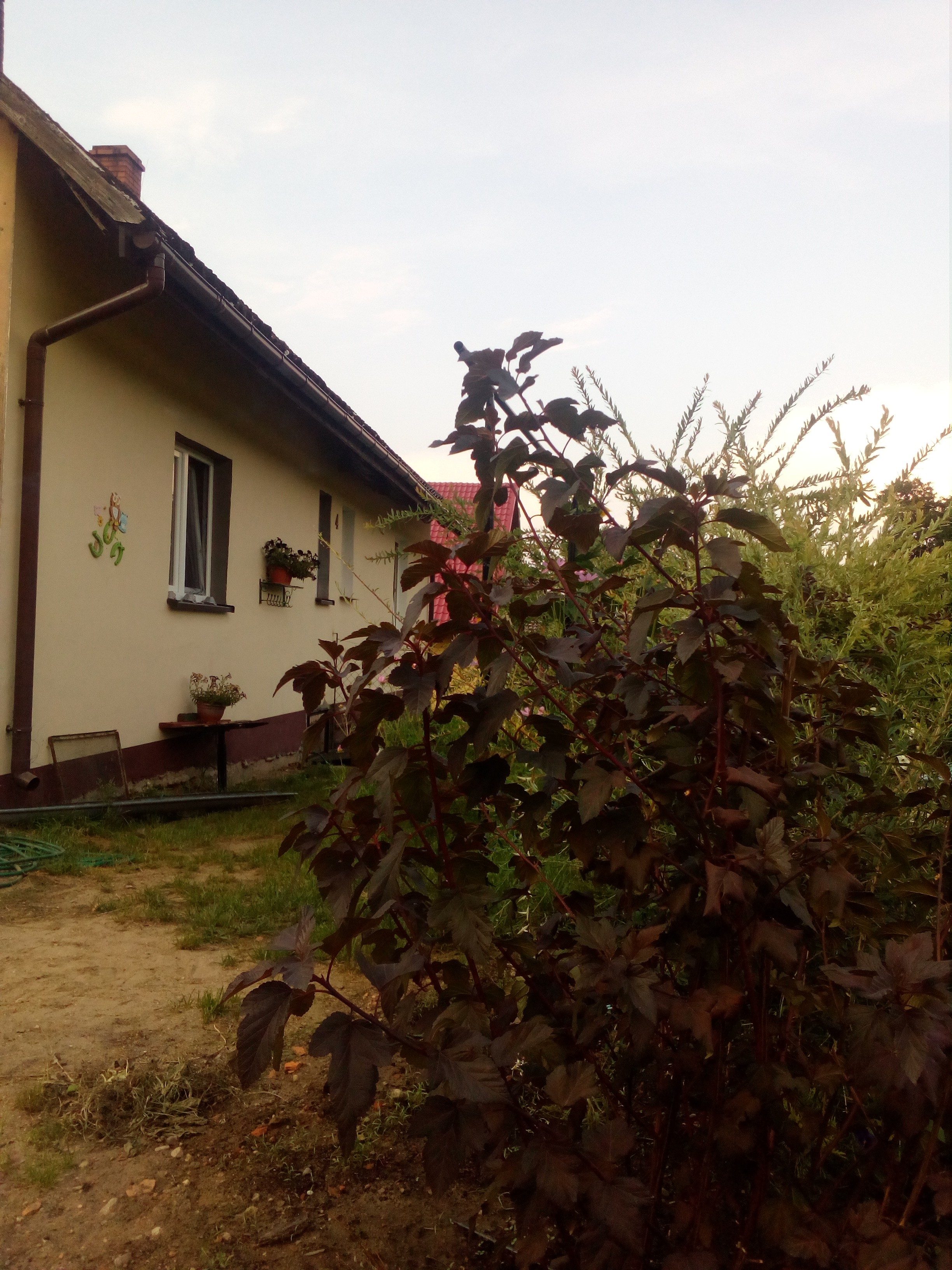 Sprzedam dom tanio okazja — zdjęcie 1