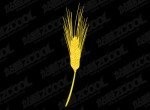 sprzedam jeczmien
