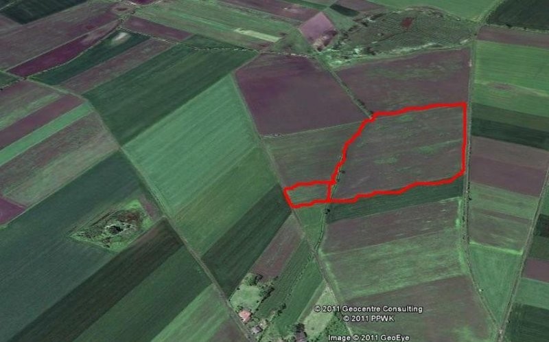 Ziemia rolna na sprzedaż - 5 ha - wieś Domaniów — zdjęcie 2