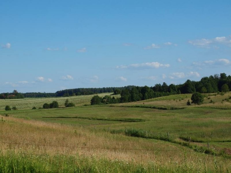 Ziemia na Mazurach, 7,35 ha III i IV klasy — zdjęcie 4