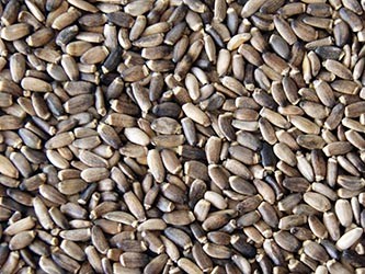 Sprzedam Krokosz, sorgo, rzepik, proso ostropest, gorczyce — zdjęcie 3