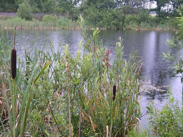 Dom Rusinowo,powiat Świdwin — zdjęcie 1
