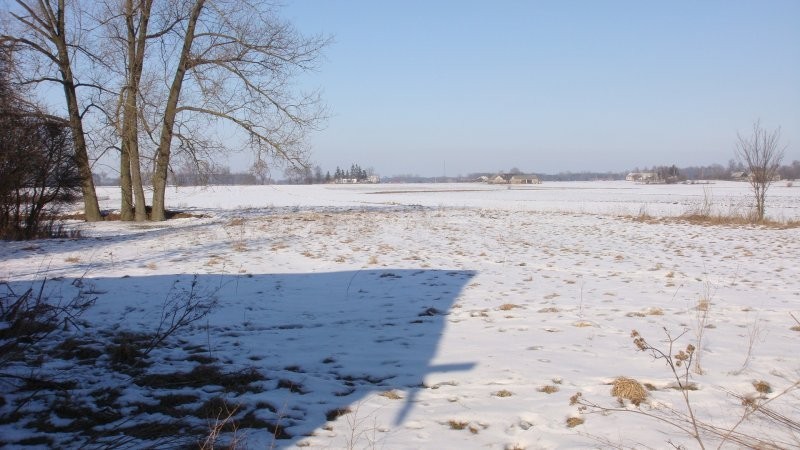 Gospodarstwo rolne 4,5ha — zdjęcie 1