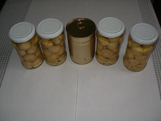 Pieczarka pasteryzowana