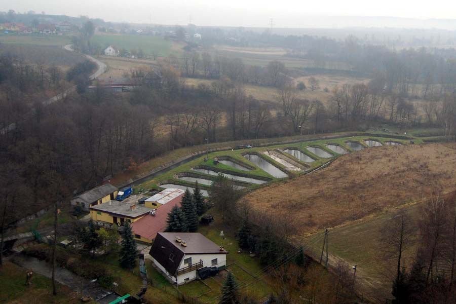 Sprzedam ośrodek hodowli pstrąga — zdjęcie 3